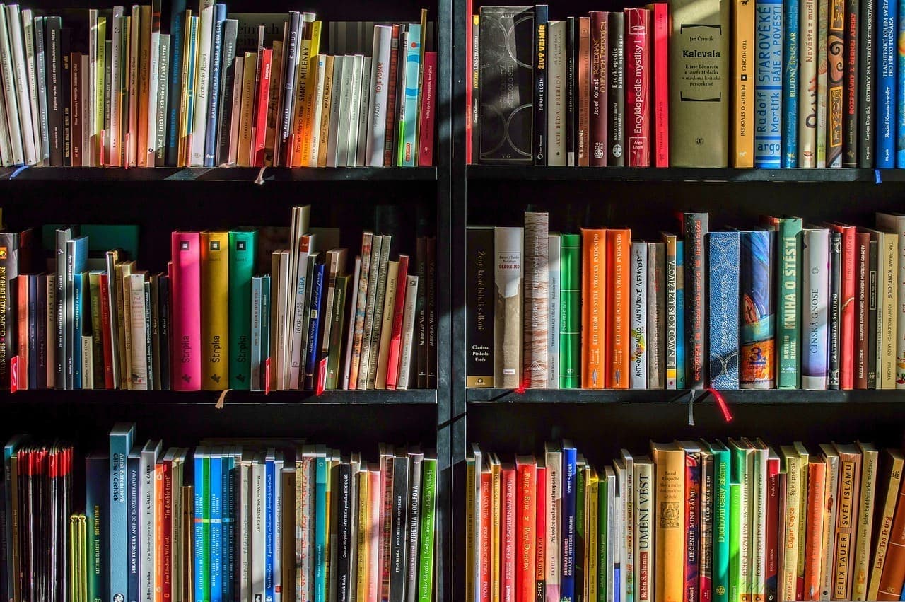 Warum Bücher überall gleich viel kosten